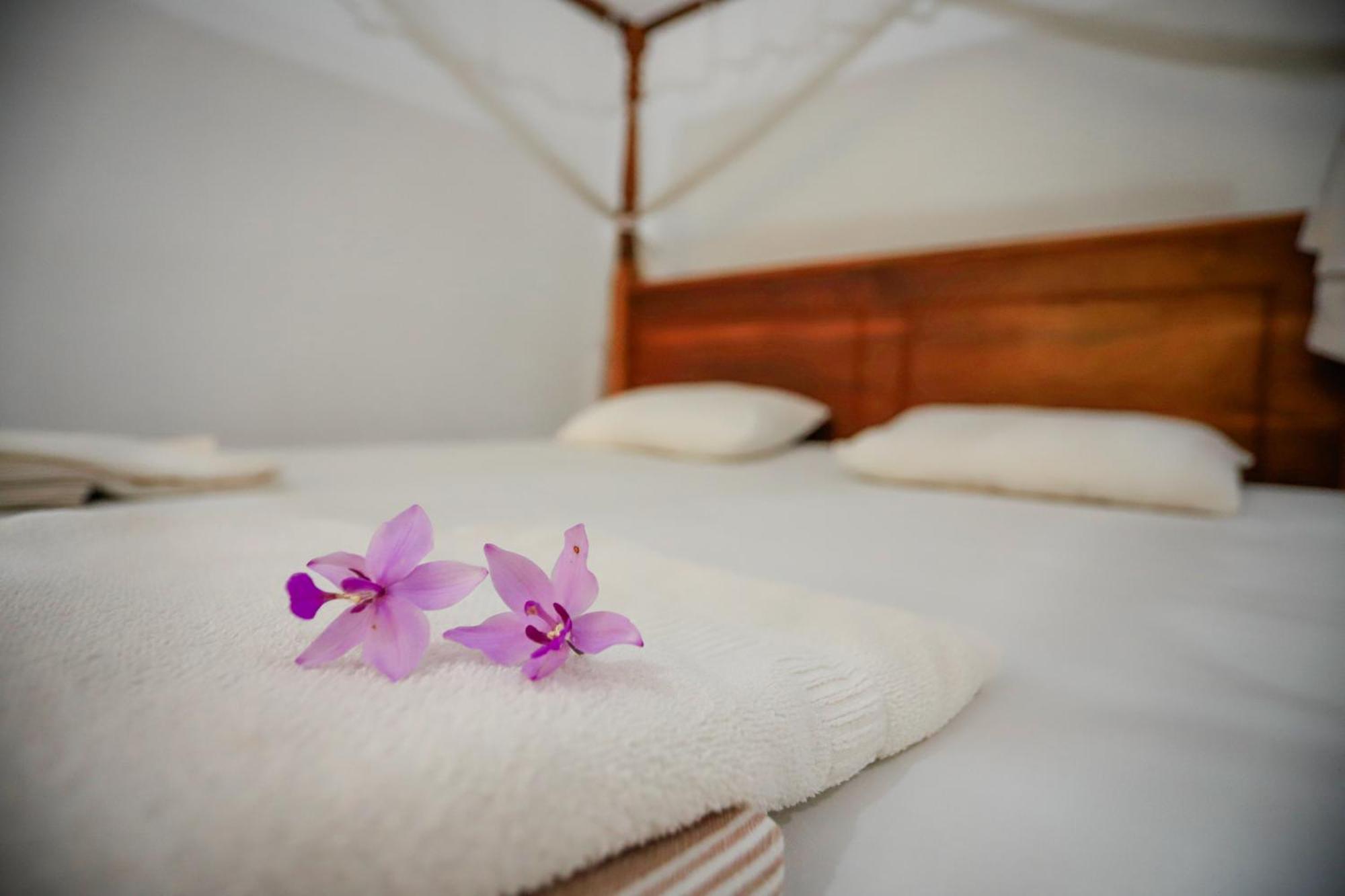 Serene Home Stay Udawalawe Exteriör bild